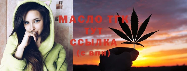 СК Алексин
