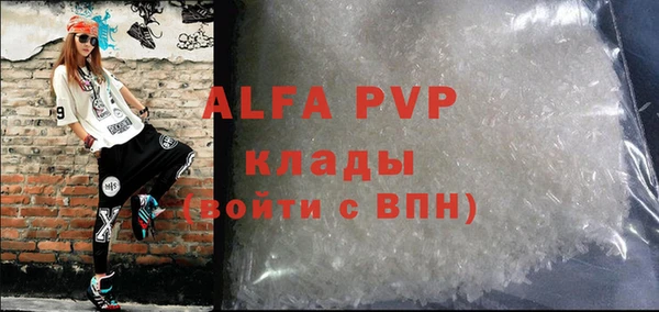 СК Алексин