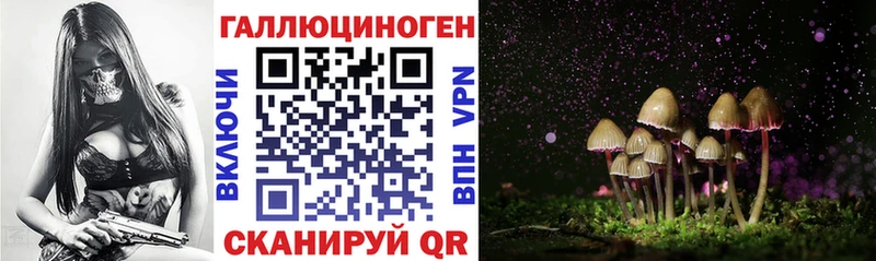 Галлюциногенные грибы Psilocybe где купить наркотик Каргат