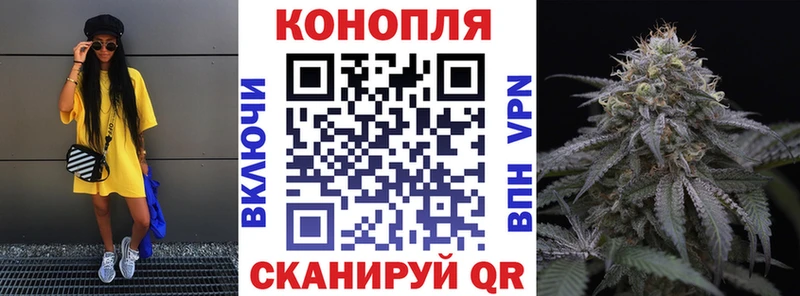 Марихуана сатива  Каргат 